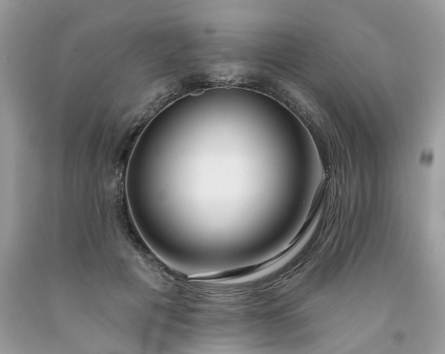 X0000091670601200709061044