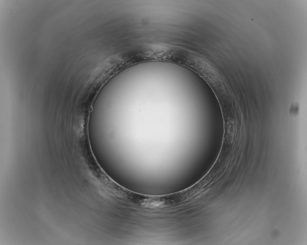 X0000091670602200709061044