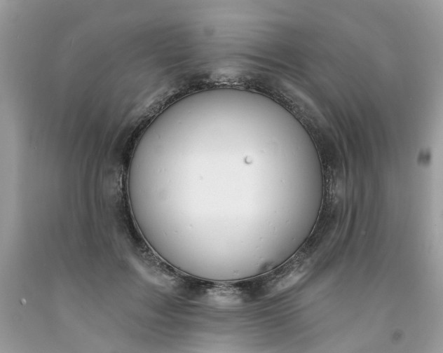X0000091670603200709061044