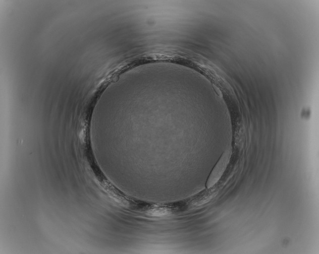 X0000091670604200709061044