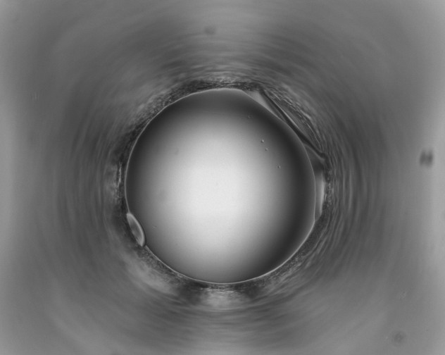 X0000091670605200709061044