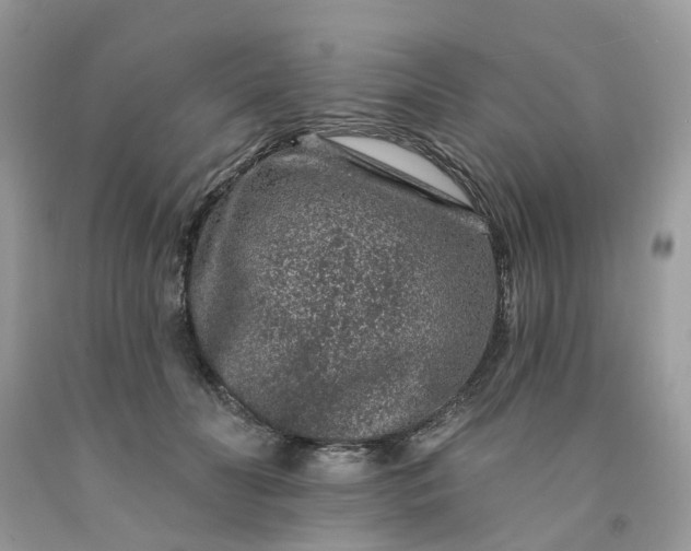 X0000091670606200709061044