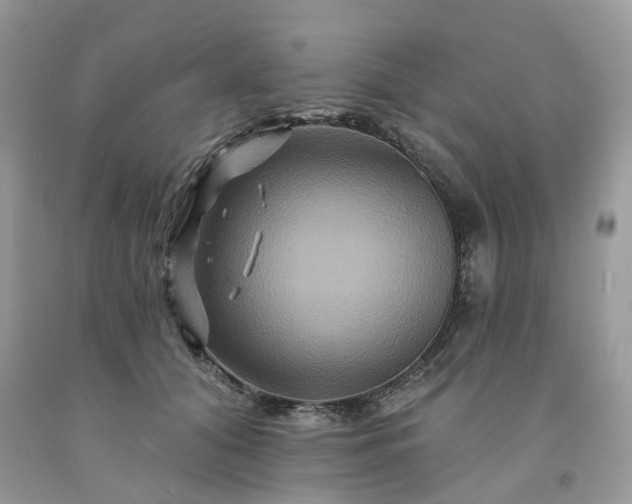 X0000091670608200709061044