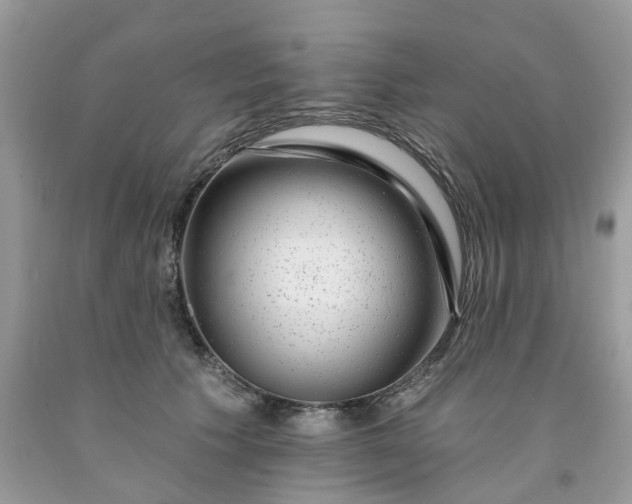 X0000091670609200709061044