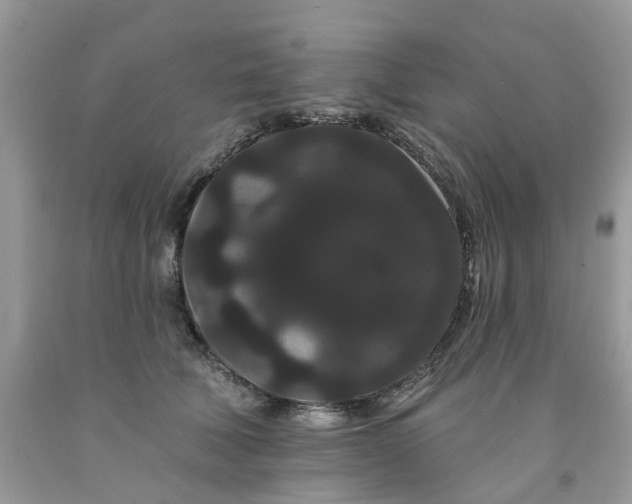 X0000091670610200709061044