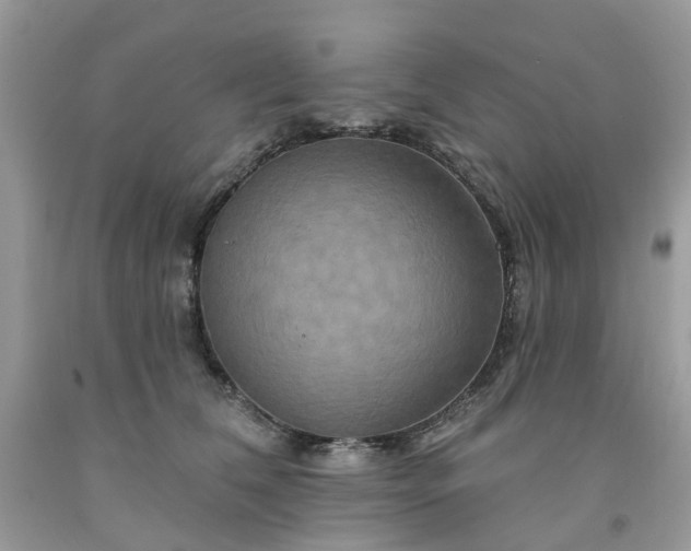 X0000091670612200709061044