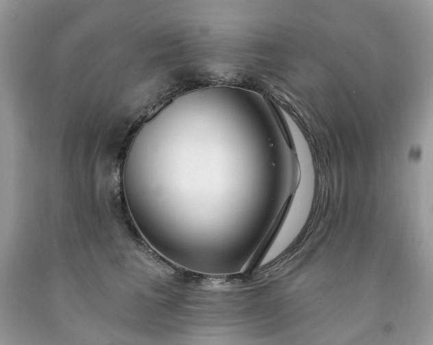 X0000091670613200709061044