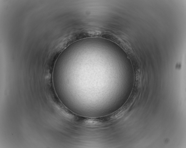 X0000091670614200709061044