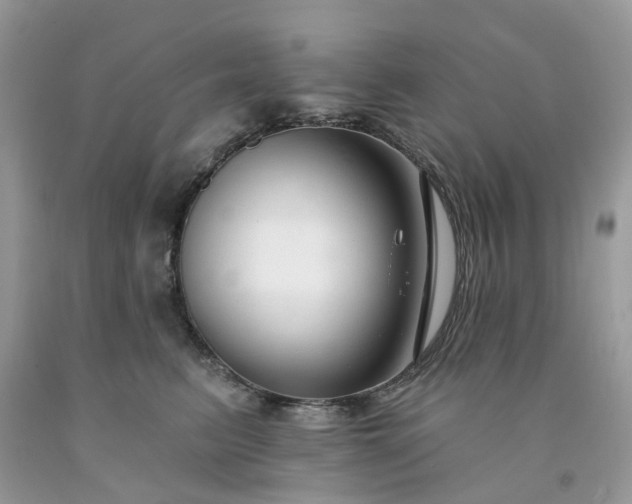 X0000091670615200709061044