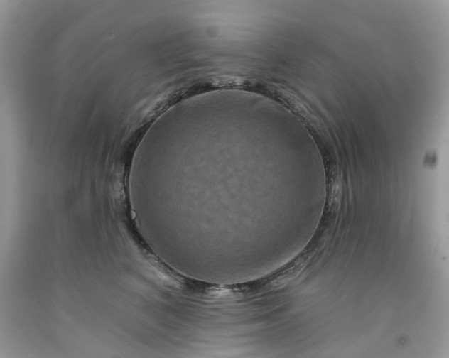 X0000091670616200709061044