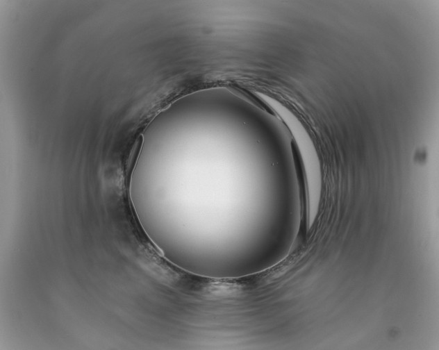 X0000091670617200709061044