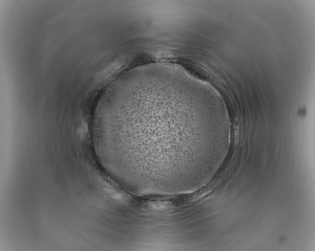 X0000091670618200709061044