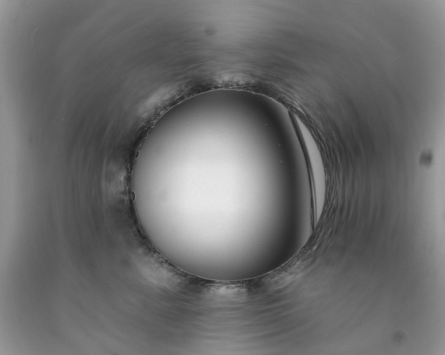 X0000091670619200709061044