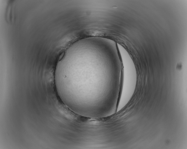X0000091670620200709061044