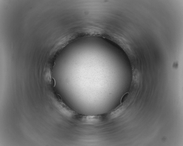 X0000091670622200709061044