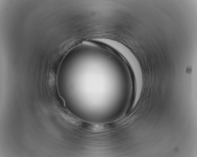 X0000091670623200709061044
