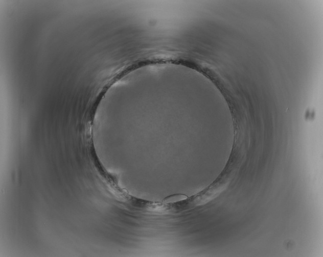 X0000091670624200709061044