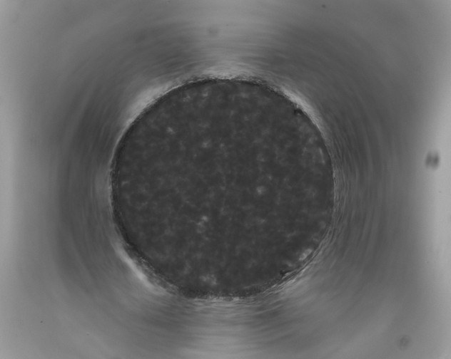 X0000091670626200709061043
