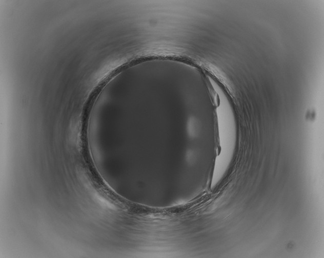 X0000091670627200709061043