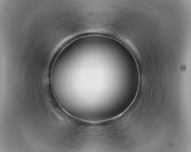 X0000091670628200709061043