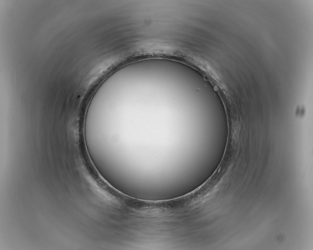 X0000091670629200709061043