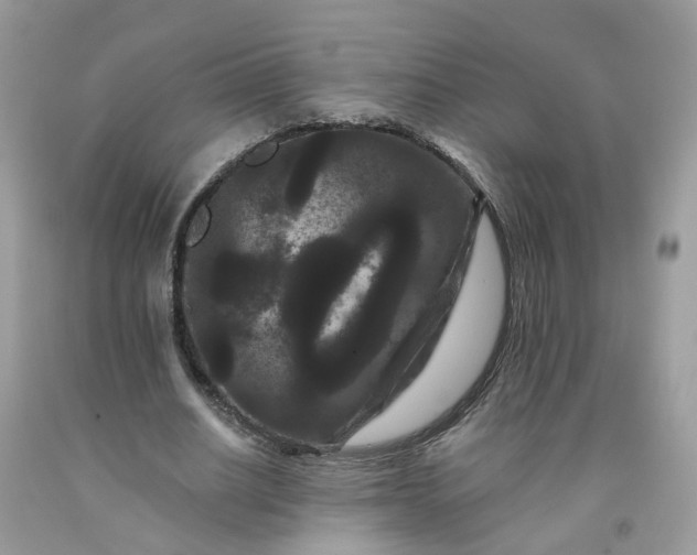 X0000091670630200709061043
