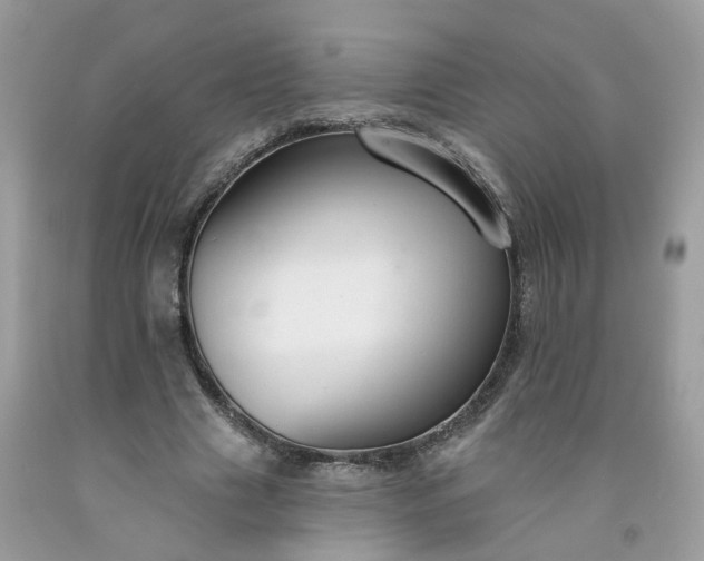 X0000091670633200709061043