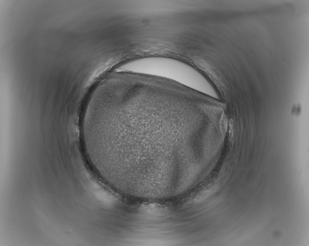 X0000091670634200709061043