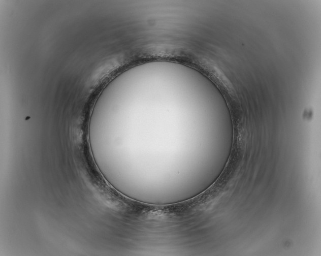 X0000091670635200709061043