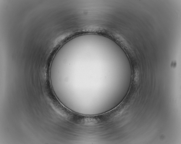 X0000091670636200709061043