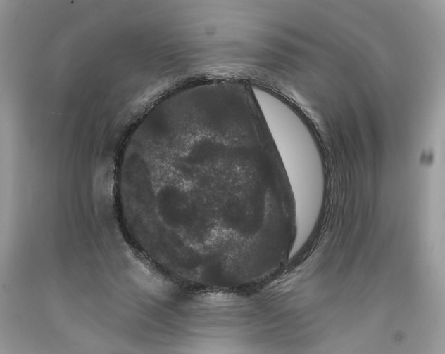X0000091670637200709061043