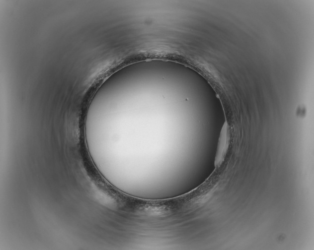 X0000091670638200709061043