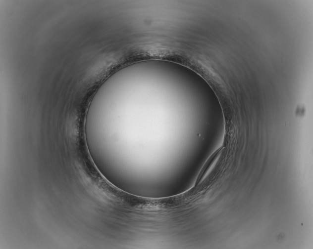 X0000091670639200709061043