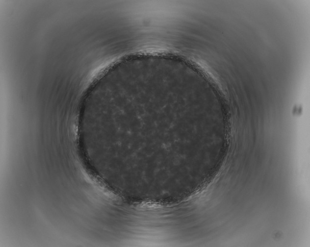 X0000091670640200709061043