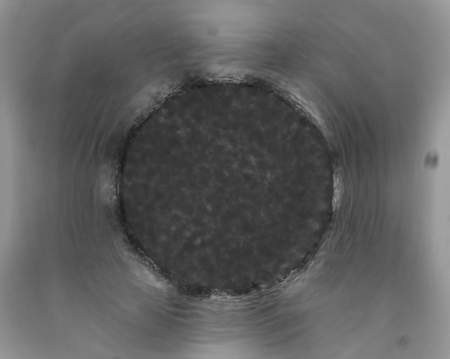 X0000091670641200709061043