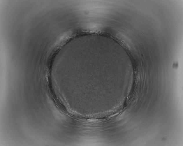 X0000091670643200709061043