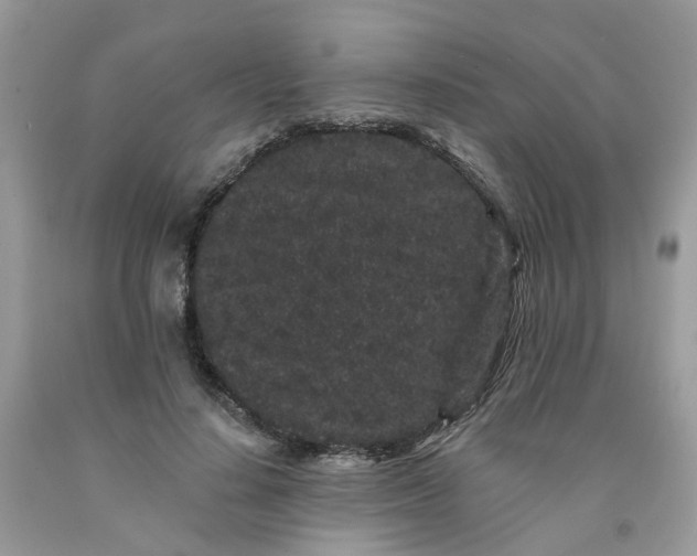 X0000091670644200709061043