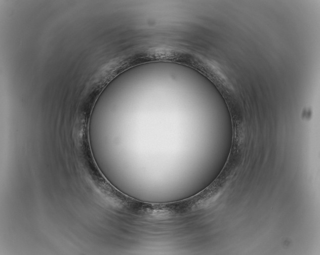 X0000091670645200709061043