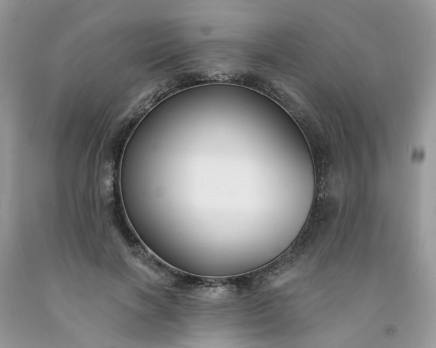 X0000091670646200709061043