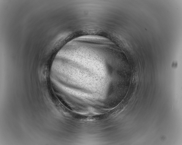 X0000091670647200709061043