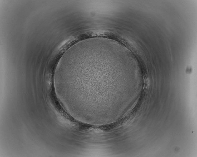 X0000091670648200709061043
