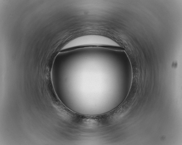 X0000091670649200709061043