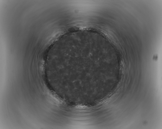 X0000091670650200709061043