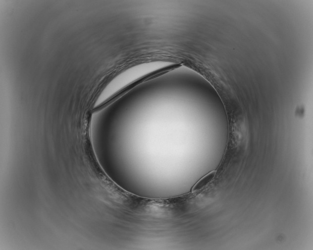 X0000091670657200709061043