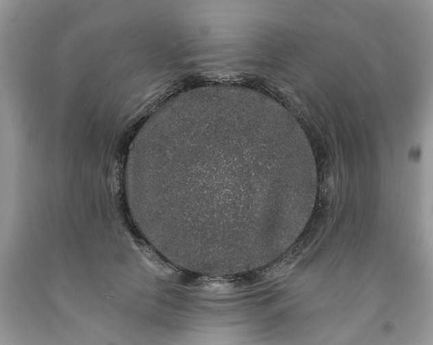 X0000091670658200709061043