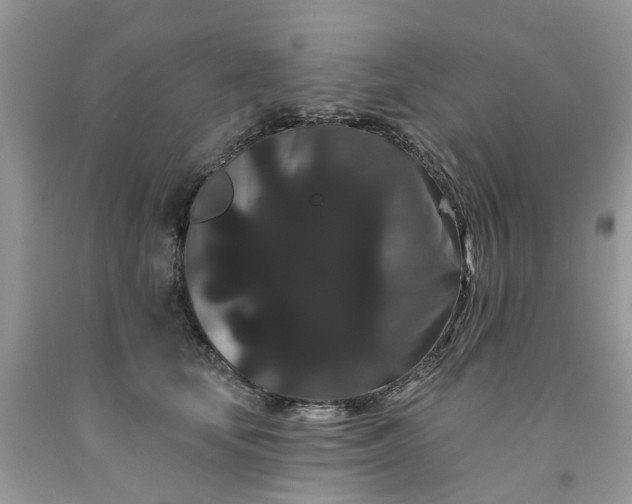 X0000091670659200709061043