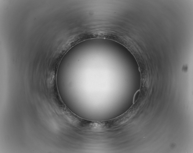 X0000091670660200709061043