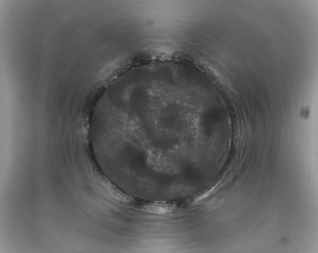 X0000091670661200709061043