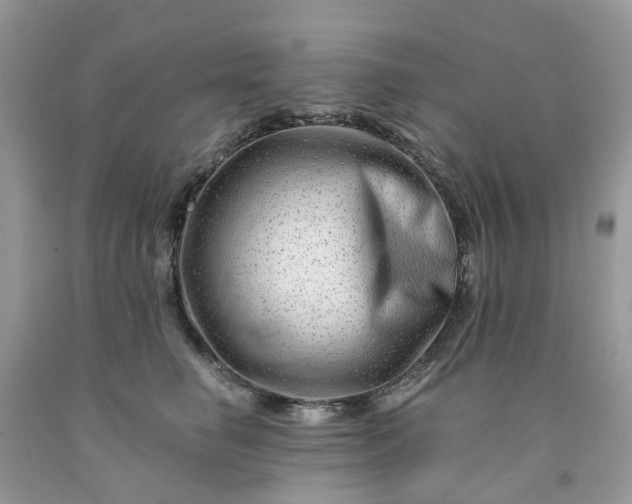 X0000091670662200709061043