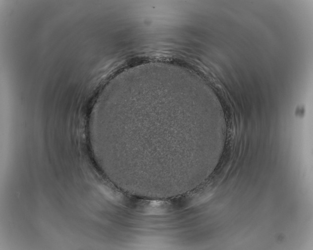X0000091670663200709061043